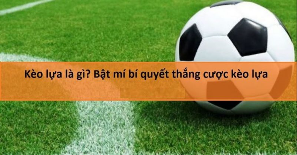 Học hỏi các mẹo trên đây sẽ giúp người chơi gia tăng cơ hội ăn tiền