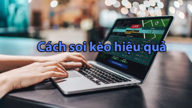 Tips soi kèo chuẩn chỉnh từ chuyên gia