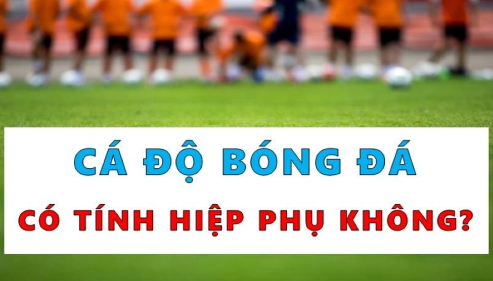 Thời gian bù giờ hay cả hiệp phụ đều không bao giờ được tính trong các kèo cược