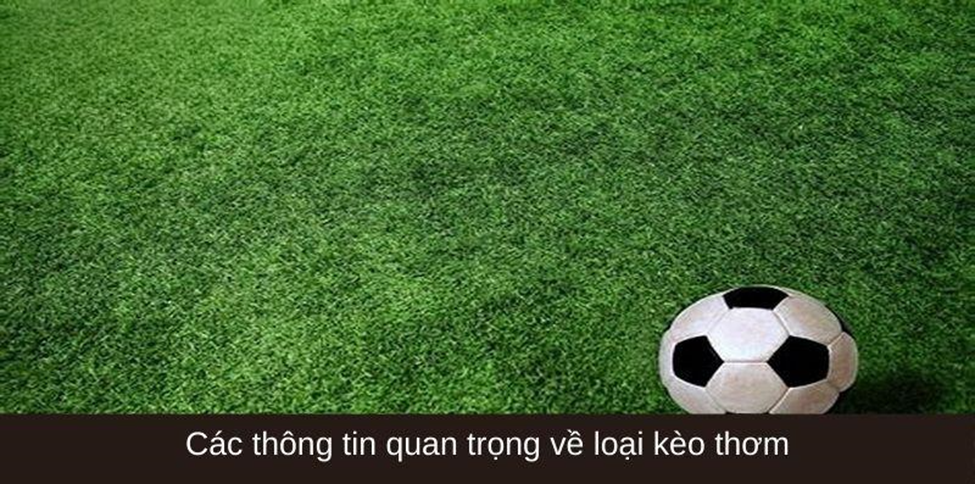 Nhận biết kèo thơm vô cùng quan trọng